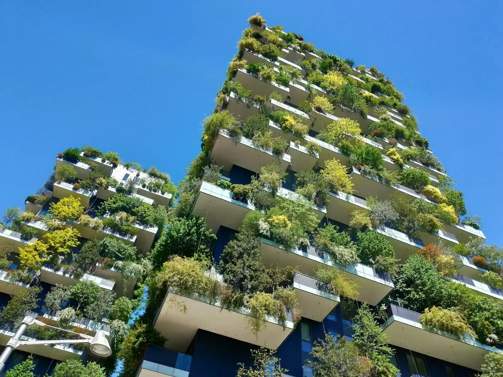 The Bosco Verticale towers in Milan, with trees and plants growing from their balconies