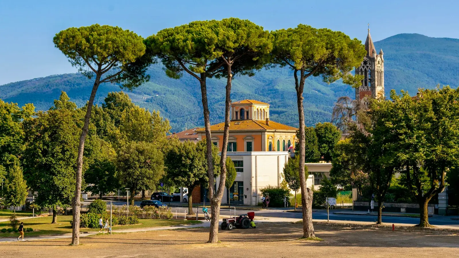 A historic clock tower in Lucca framed by the branches of trees in a quiet piazza