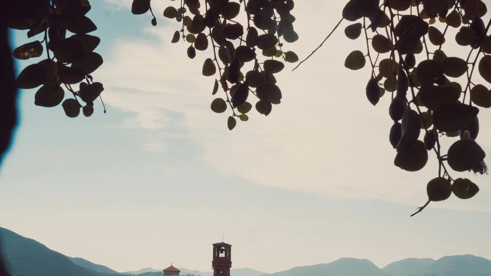 Terracotta rooftops and bell towers of Lucca seen from above in golden afternoon light