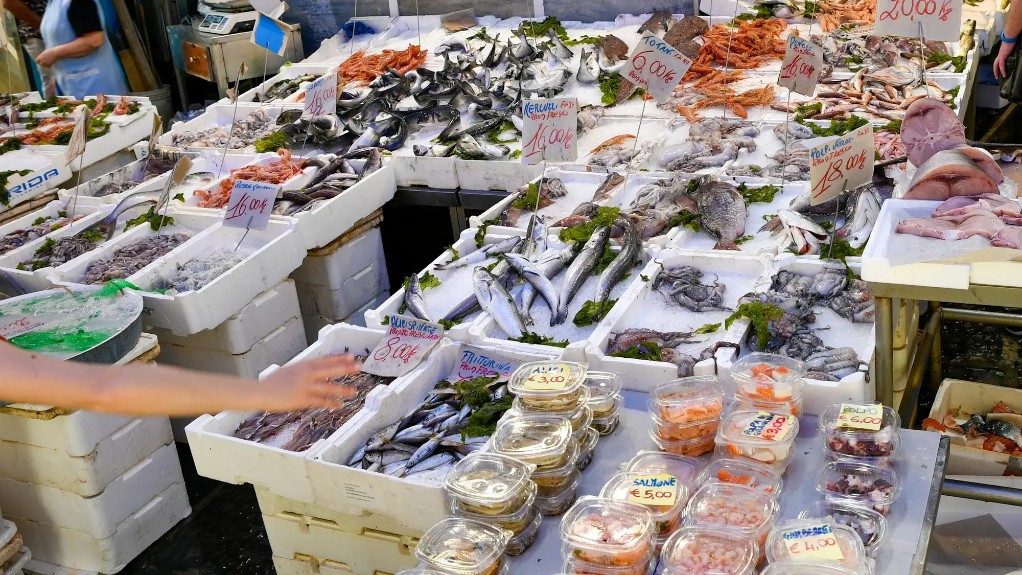 Pesce, gamberi, cozze e vaschette di frutti di mare pronti sul ghiaccio in cassette bianche in un mercato di strada a Napoli, con i cartellini dei prezzi