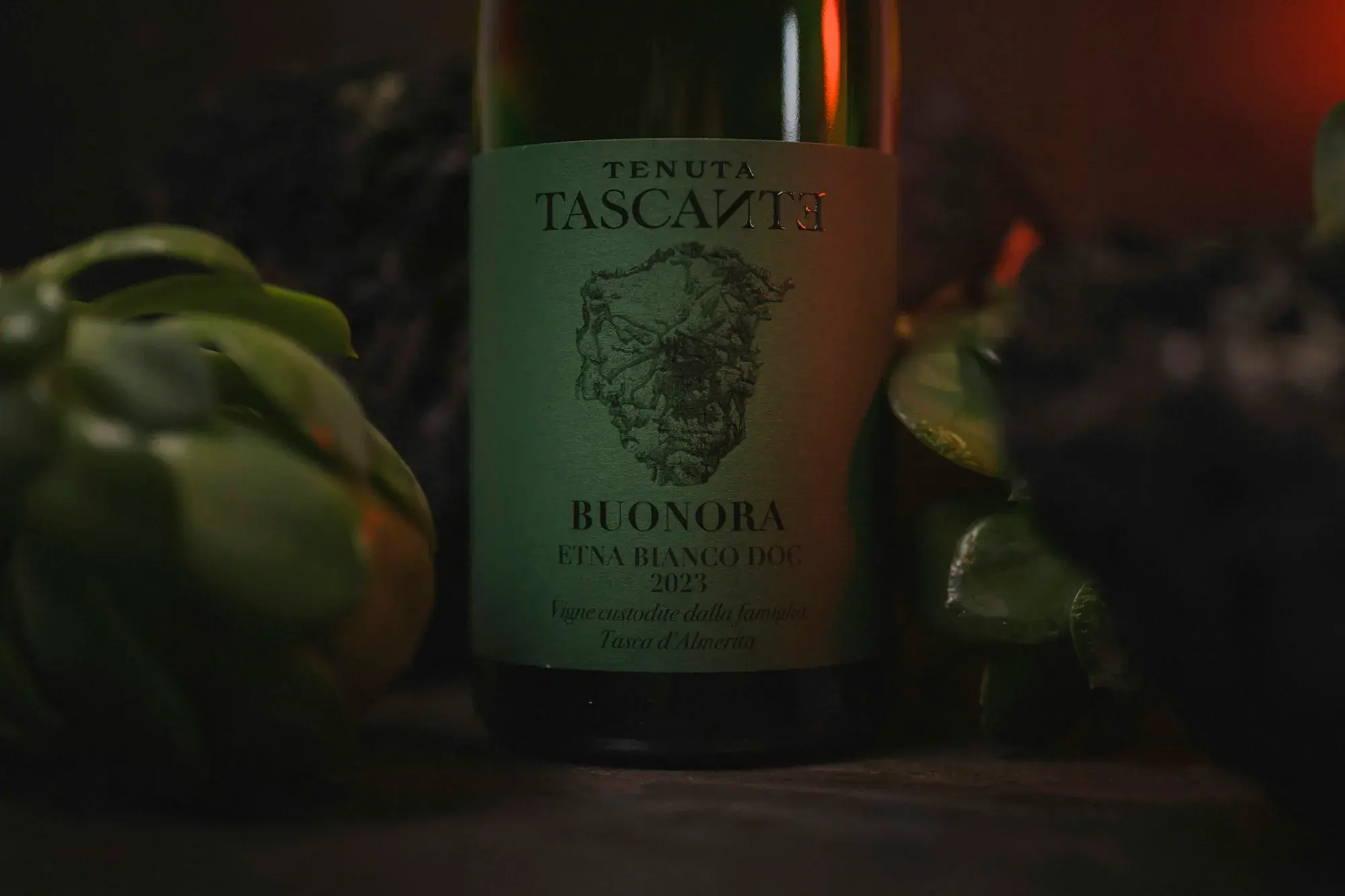 A green bottle of Etna white wine with a cream label on a dark table beside green leaves