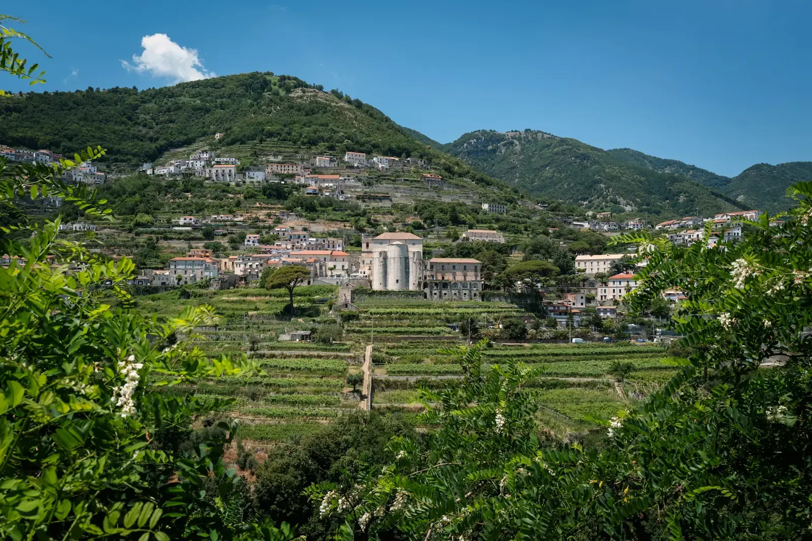 Terraced vineyards and vegetable gardens below the hillside village of Ravello on the Amalfi Coast