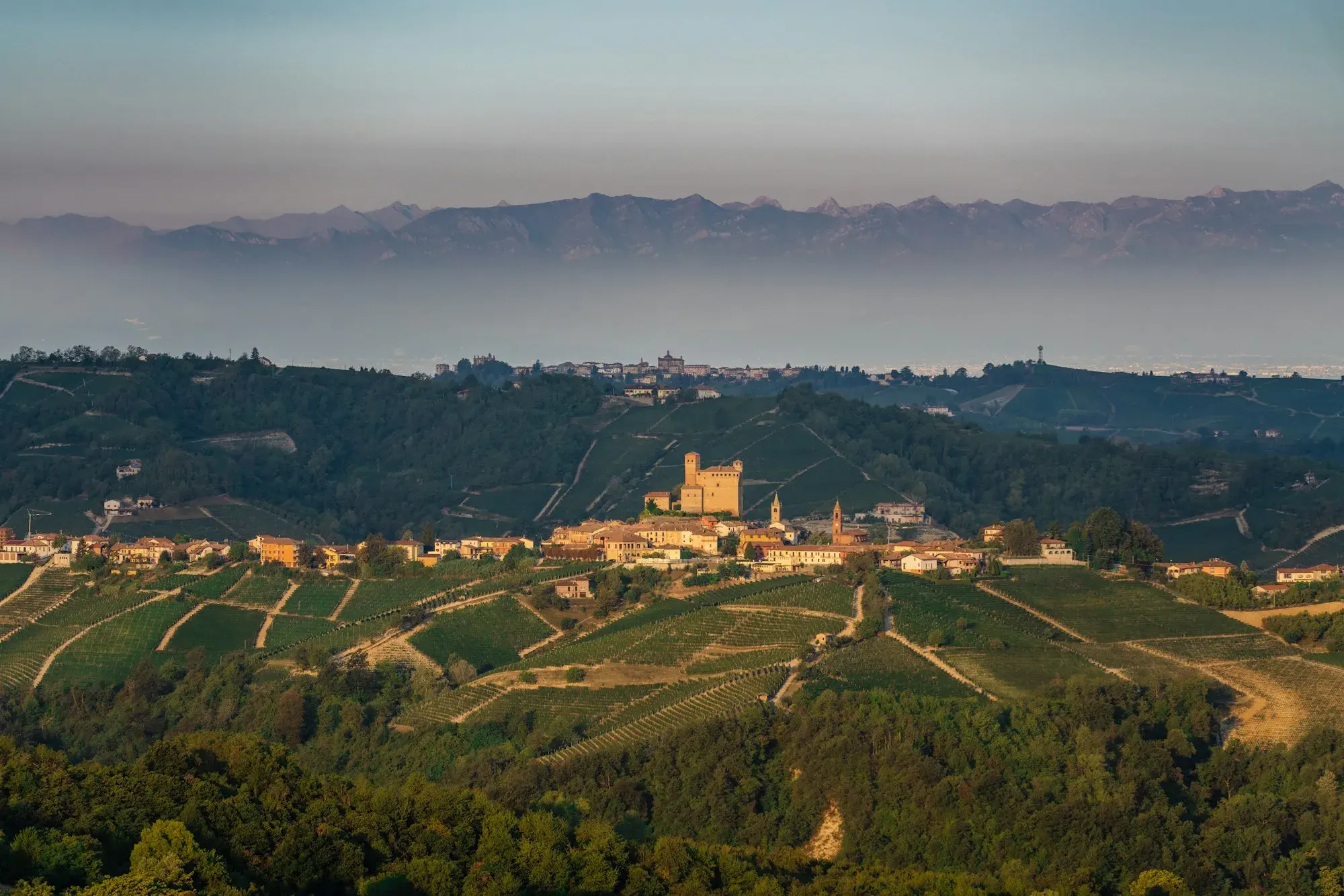 The castle and village of Serralunga d'Alba on a ridge above rows of vineyards in the Langhe, with the Alps in the distance
