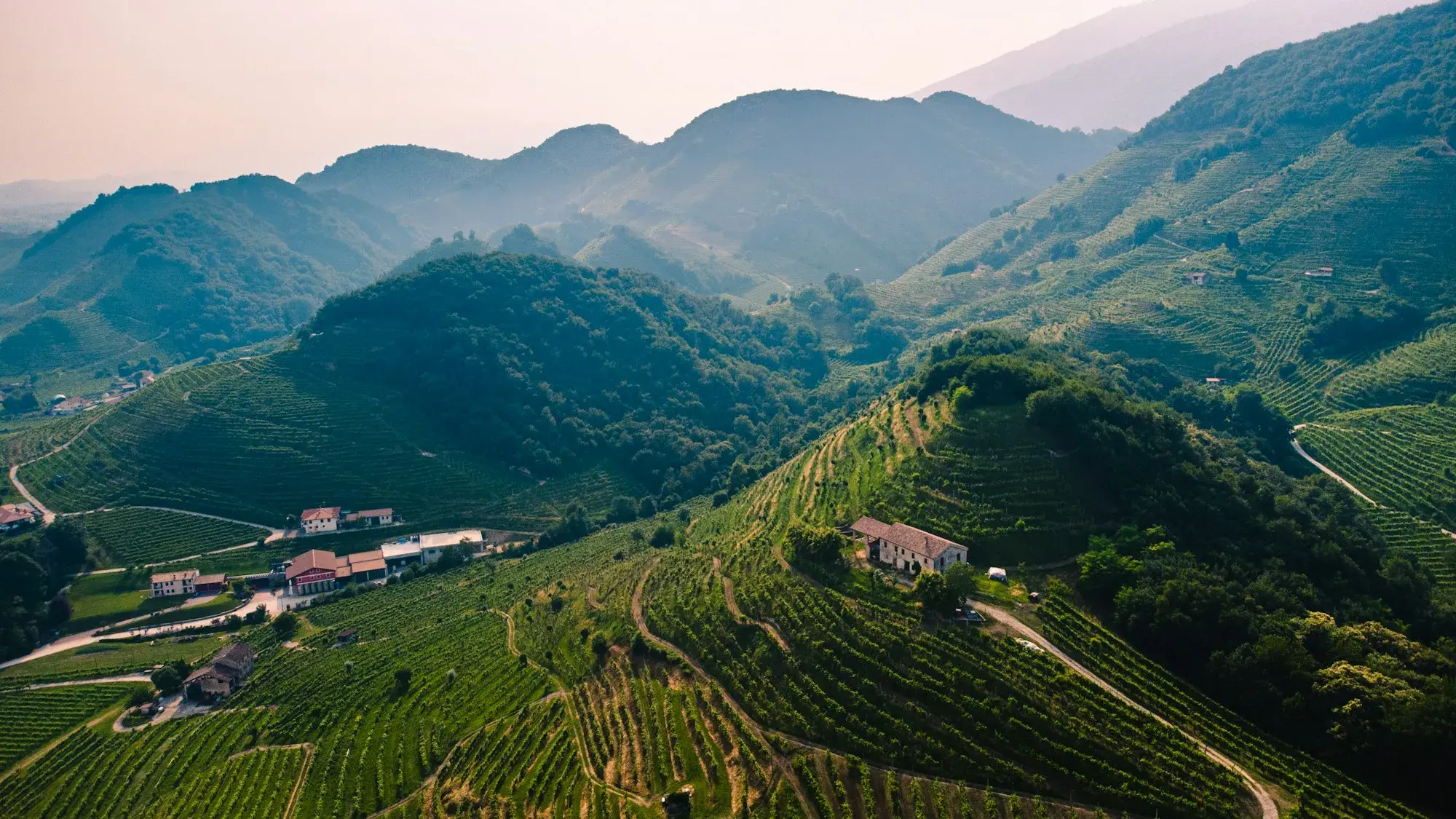 Steep green hills covered in vineyard rows around Valdobbiadene, seen from above in soft morning light