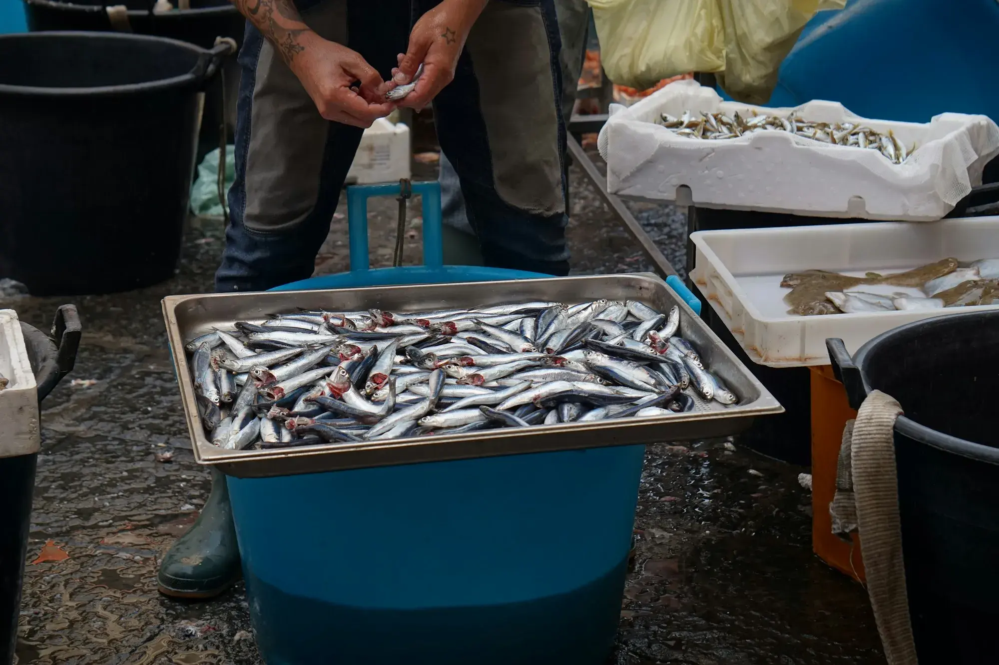 A fishmonger sorting a tray of small silver fish at the Catania fish market, with crates and buckets on wet paving