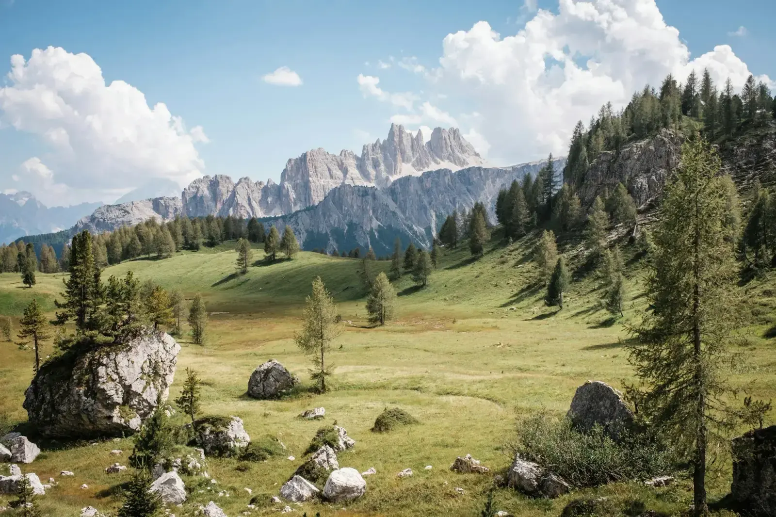 A green alpine meadow with rocks and conifers below Dolomite peaks near Rocca Pietore in summer