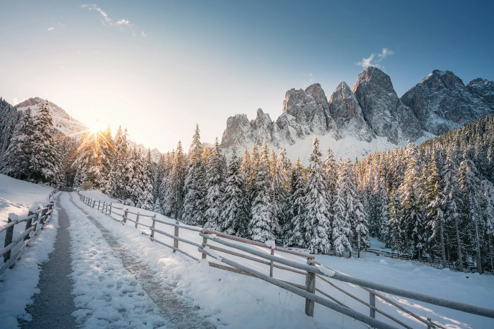 A snowy path and fence among snow-covered trees below the jagged peaks of the Dolomites in Val di Funes