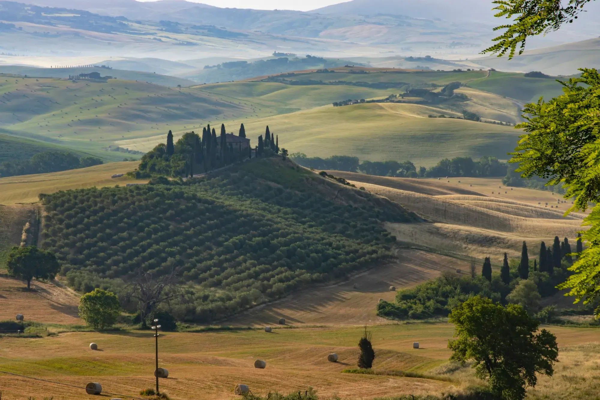 Rolling green hills, olive groves and a farmhouse ringed by cypress trees near San Quirico d'Orcia in Tuscany