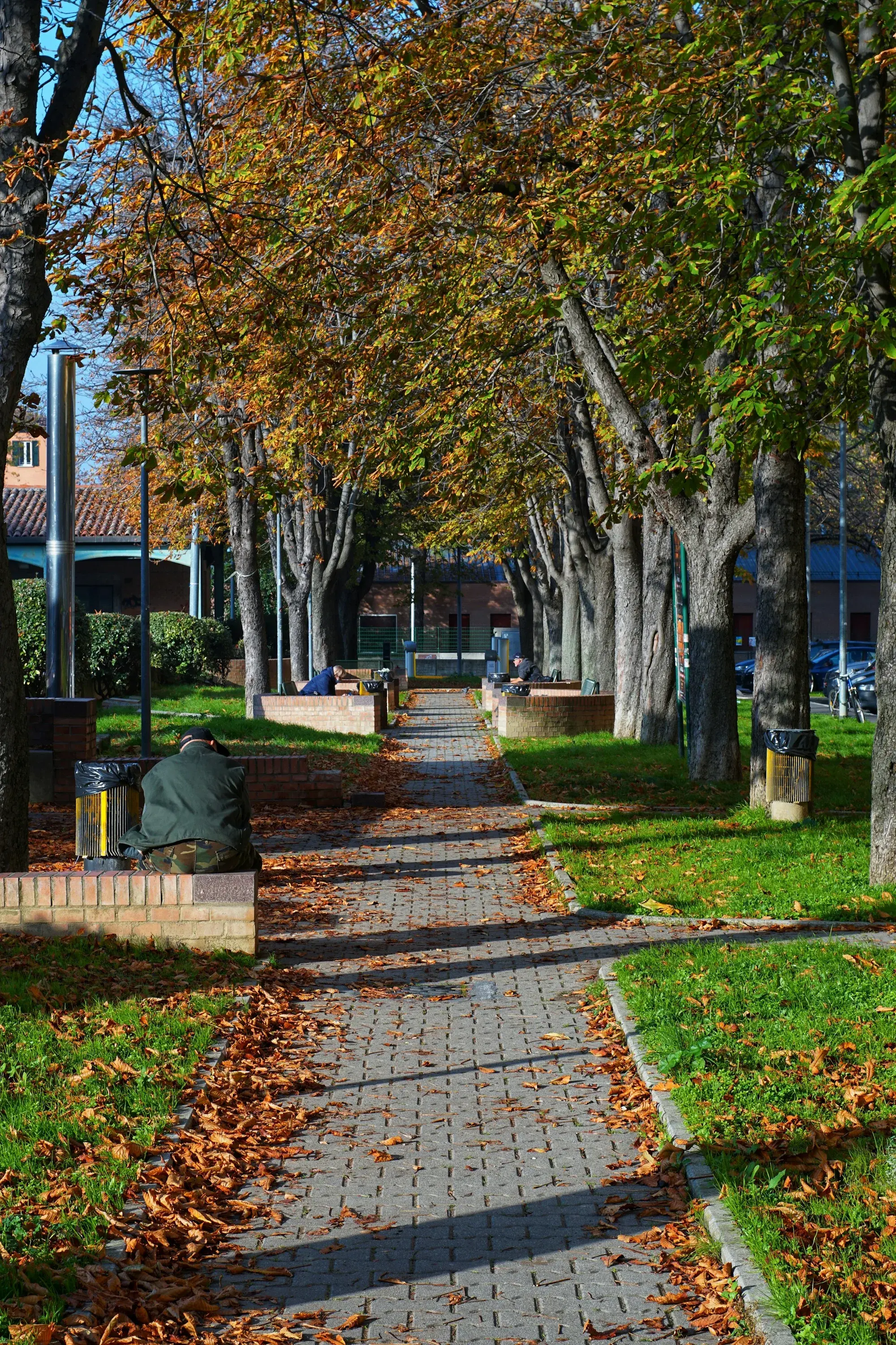 A covered portico street in Bologna in autumn, with golden light filtering through arched columns
