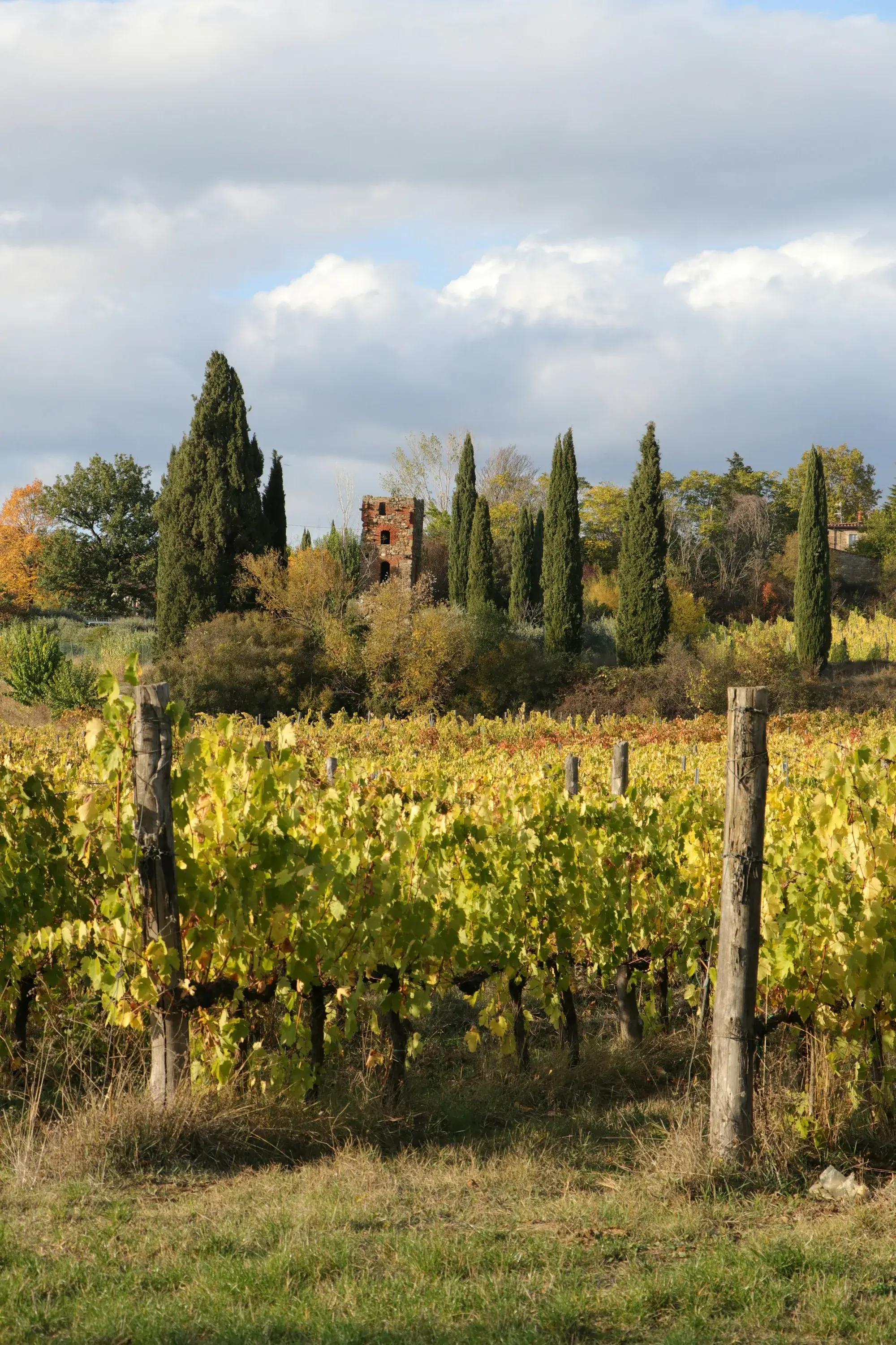 Rolling Tuscan hills in golden autumn light, with cypress rows and a hilltop village in the distance