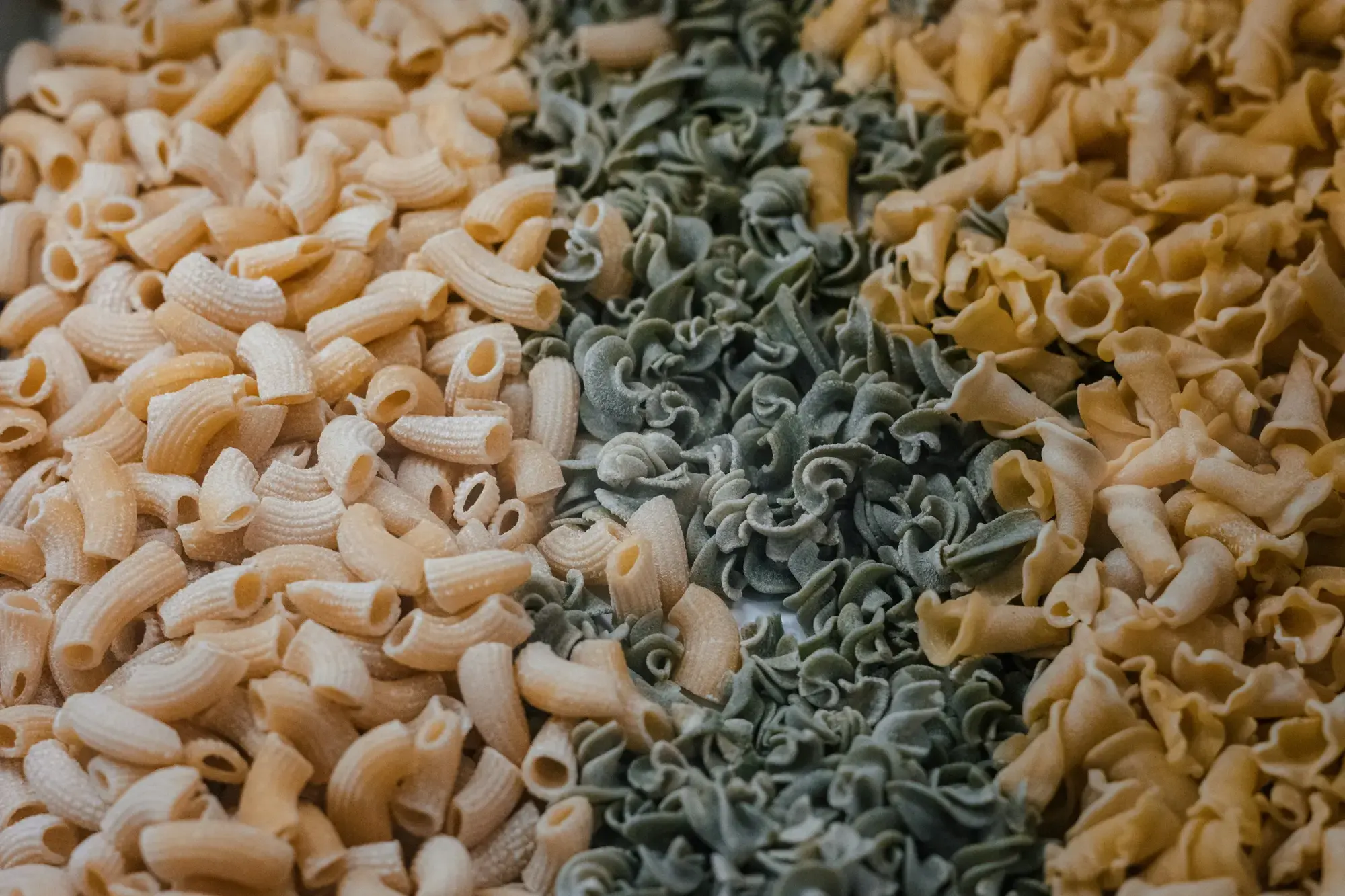 Una varietà di diversi formati di pasta italiana disposti su un tavolo di legno