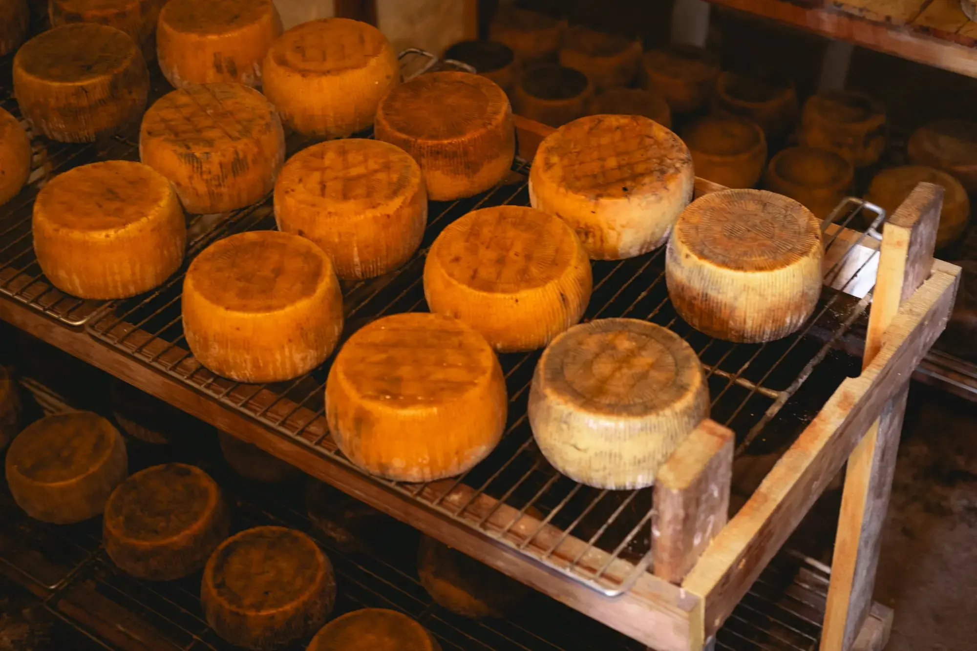 Multiple whole cheese rounds and wedges arranged on wooden shelves in an aging room