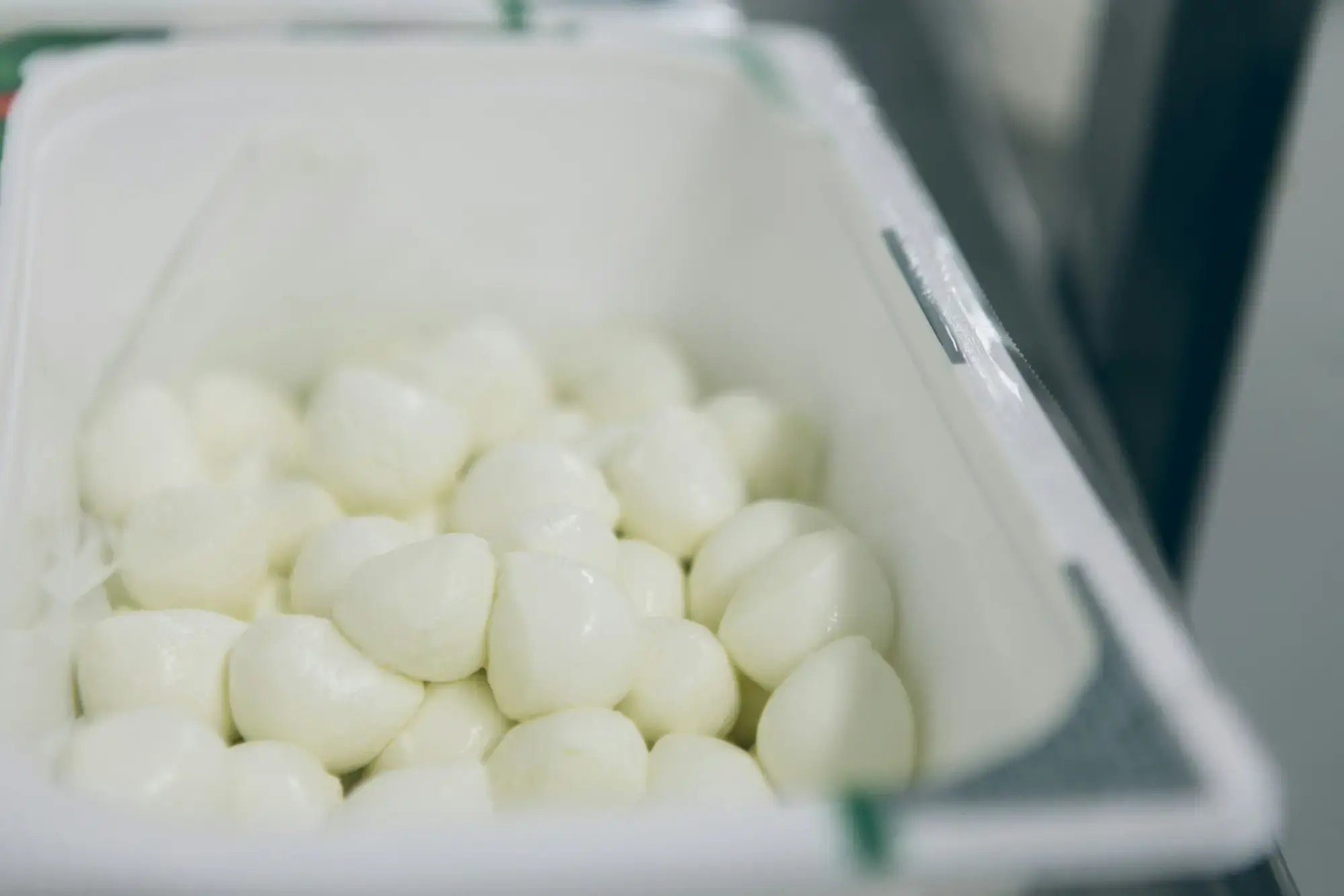 Balls of fresh white mozzarella piled in a plastic tub