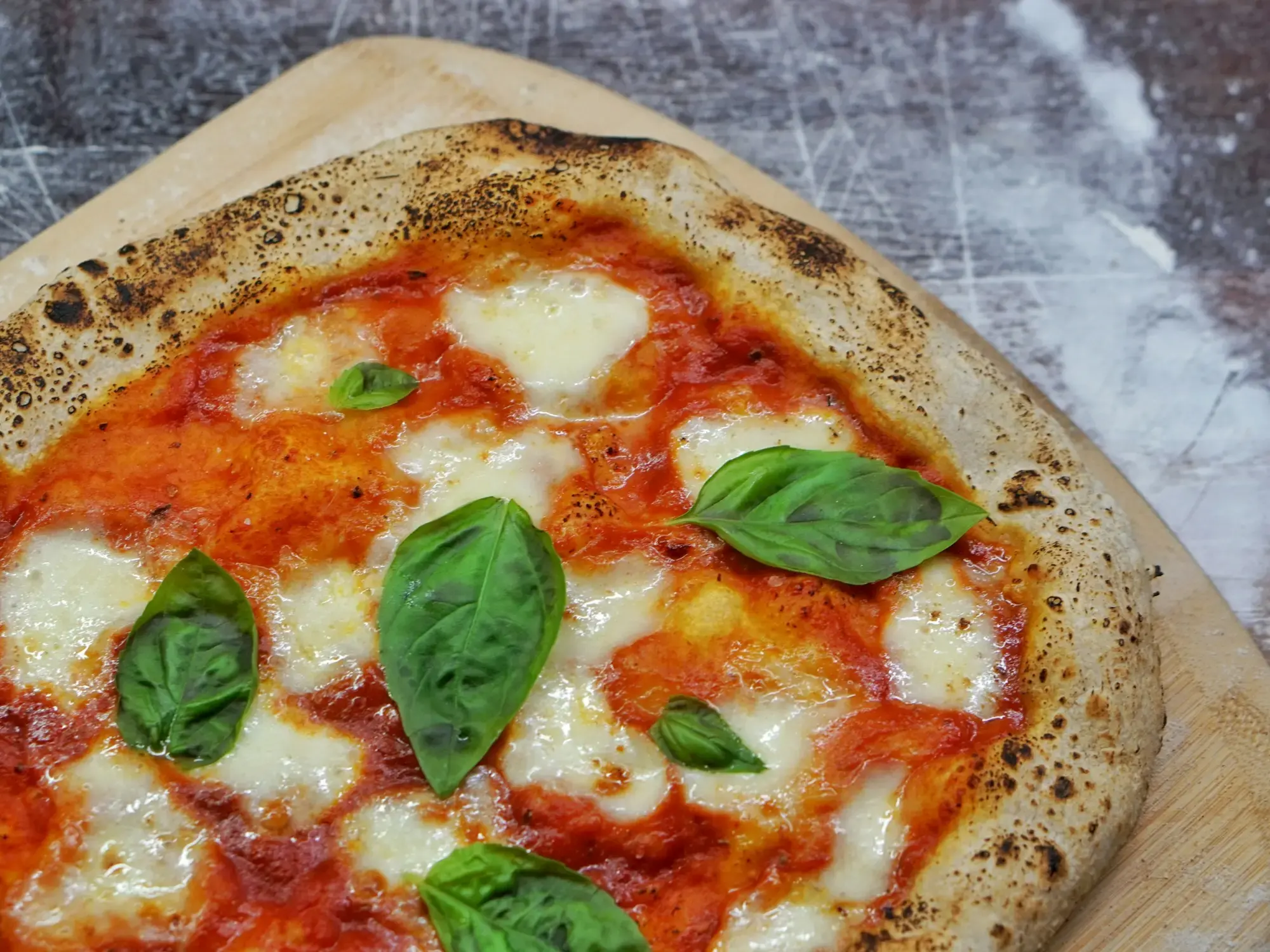 A margherita pizza with patches of melted mozzarella, crushed tomato and whole basil leaves, its puffy rim browned and blistered