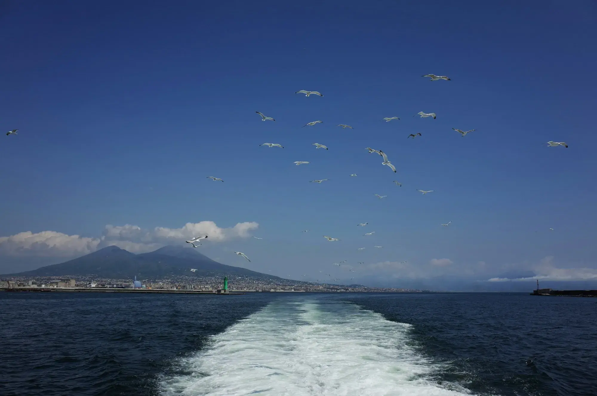 The white wake of a ferry leaving Naples, with Mount Vesuvius on the horizon and seagulls overhead